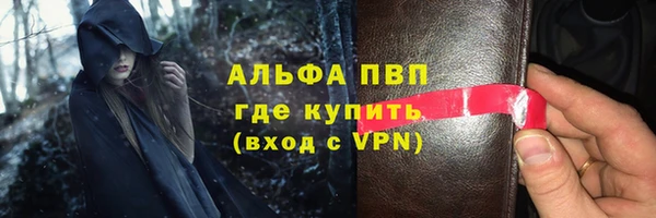 spice Богородицк