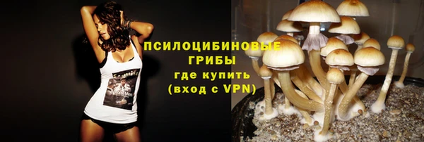spice Богородицк