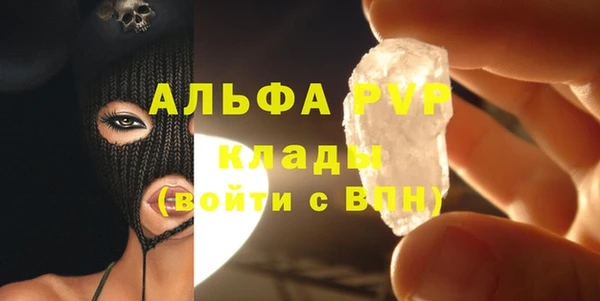 spice Богородицк