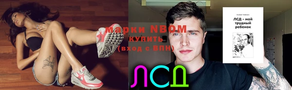 сатива Богданович