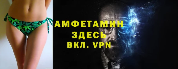 spice Богородицк