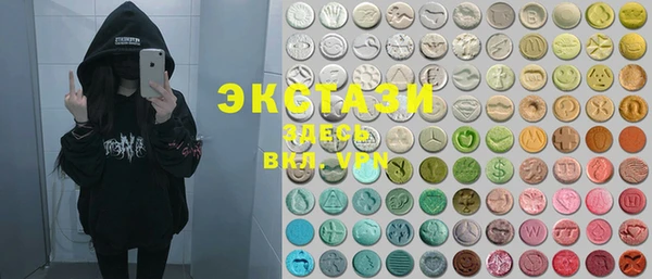 spice Богородицк