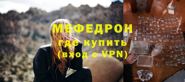 spice Богородицк