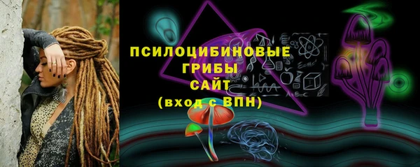 spice Богородицк