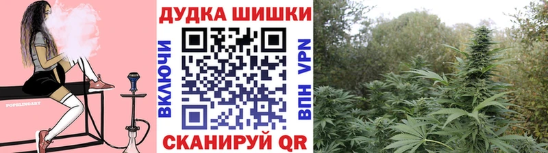 Купить закладки  Называевск  МАРИХУАНА марихуана 